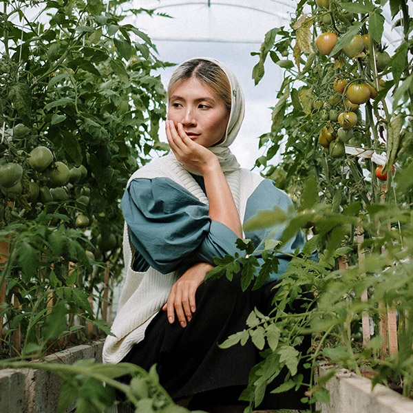 Pitayo Verde