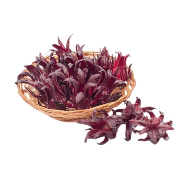 flor_de_jamaica